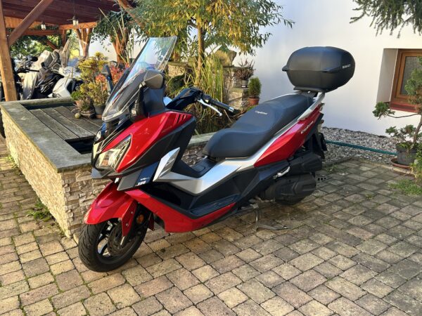 Sym Cruisym 300