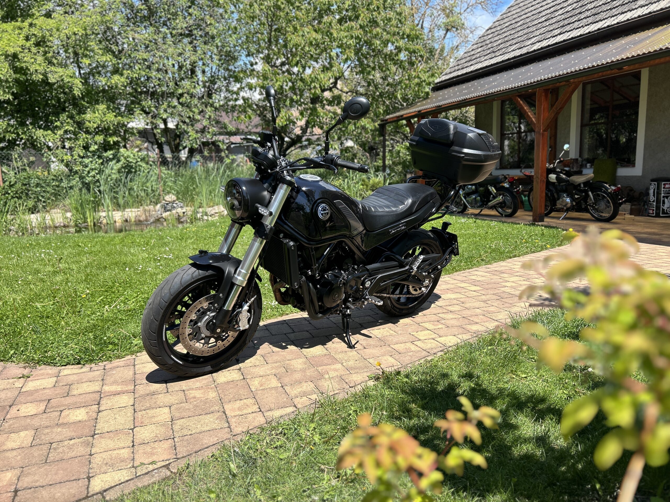 Benelli Leoncino 500